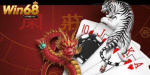 Soi cầu rồng hổ